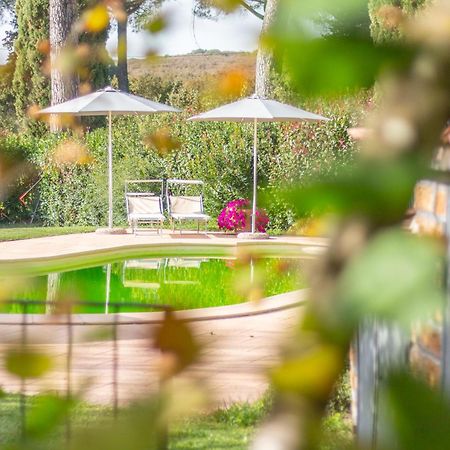 Ai Due Cedri Guest House Capranica Екстериор снимка